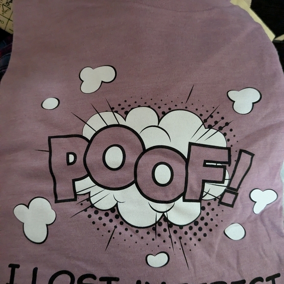 Bella Canvas Dusty Rose T-Shirt Poof I Lost Interest XL NWOT - Picture 3 of 6